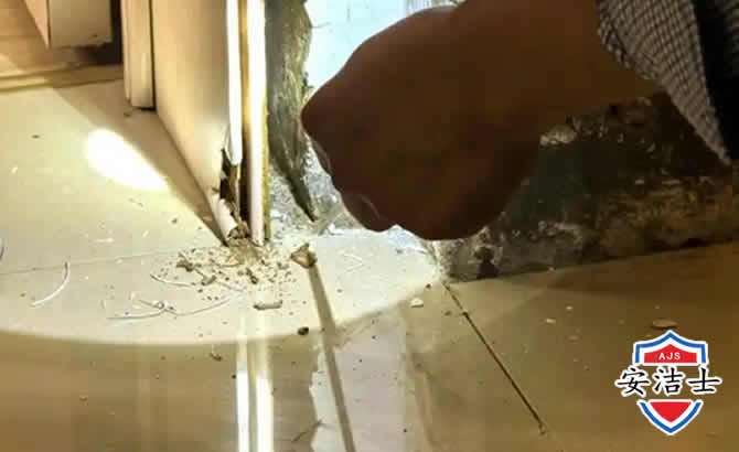 平阳房屋建筑防治白蚁