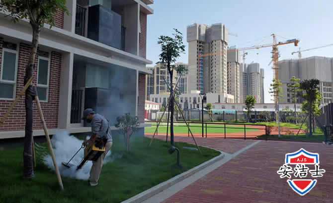 平阳工厂工地除白蚁