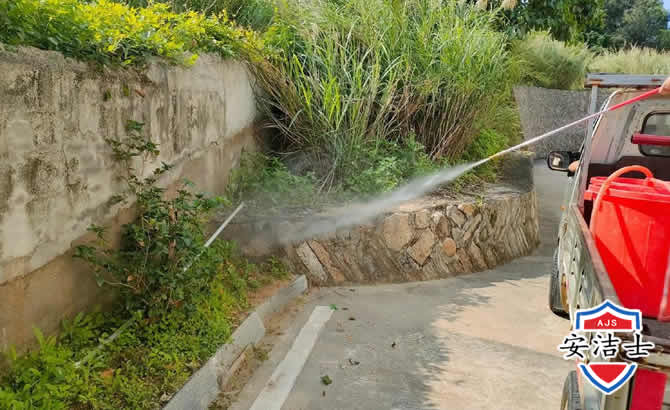 平阳道路堤坝白蚁防治