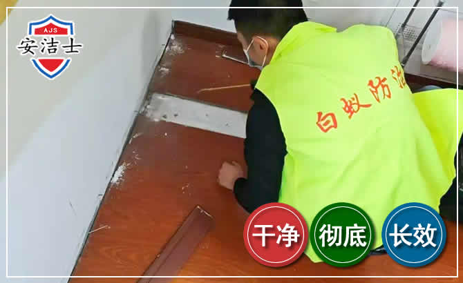 平阳除四害现场