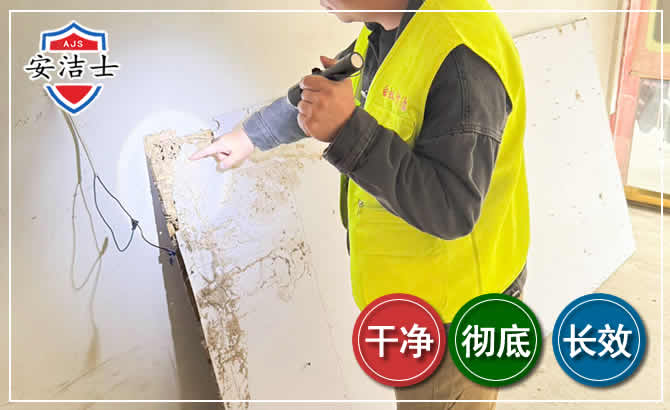 平阳除白蚁现场