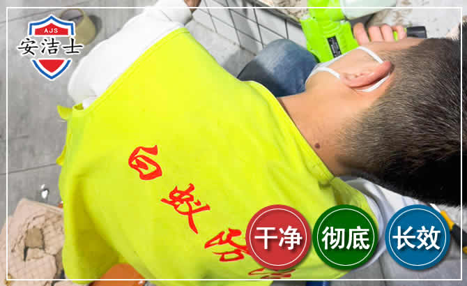 平阳白蚁根治现场